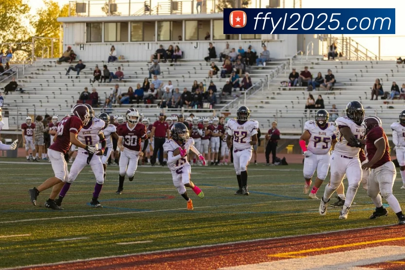 非凡娱乐官网发展历程