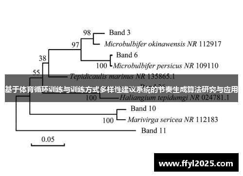 基于体育循环训练与训练方式多样性建议系统的节奏生成算法研究与应用