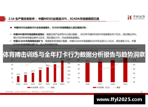 体育搏击训练与全年打卡行为数据分析报告与趋势洞察